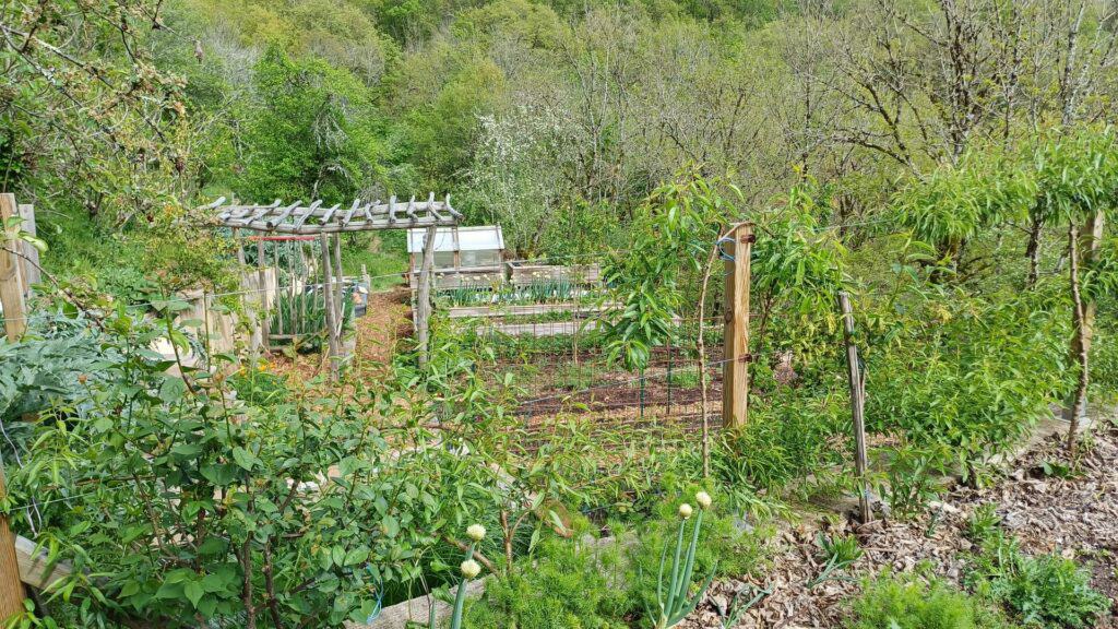 Formations en permaculture pour un potager luxuriant et productif