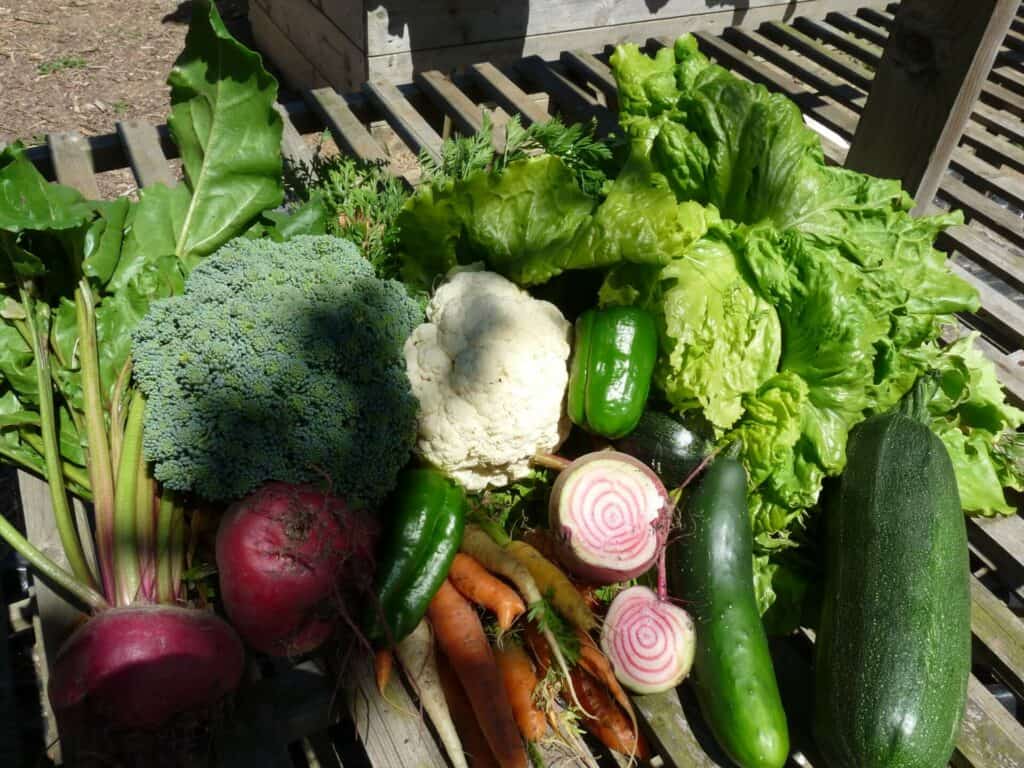 Obtenir une production principe permaculture