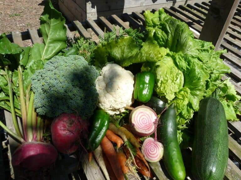 Obtenir une production principe permaculture
