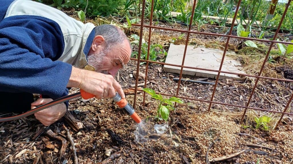 Sècheresse au jardin attention les corvées d'arrosage