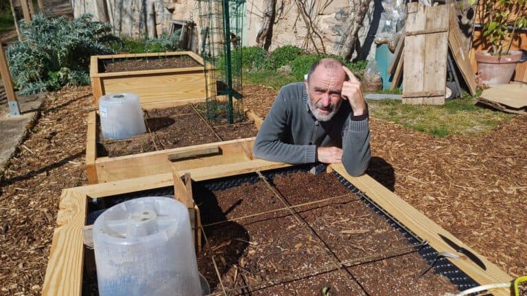 Bilan de saison potager — récoltes, dépenses et revenu au m²